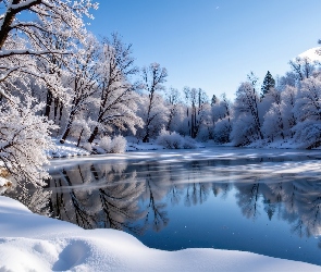 Śnieg, Jezioro, Drzewa, Oszronione, Zima