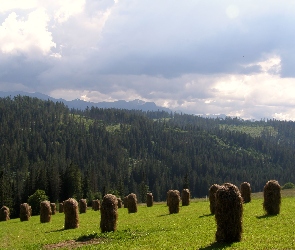 Bukowina Tatrzańska