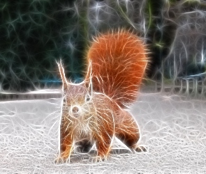 Wiewiórka, Wektorowa