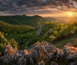 Lasy, Wschód słońca, Góry, Słowacja, Małe Karpaty, Skały