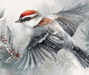 Rozpostarte, Liście, Gałązka, Skrzydła, Ptak