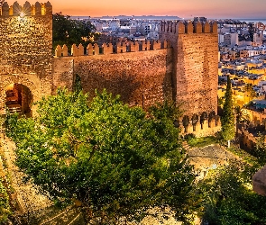 Region Andaluzja, Drzewo, Twierdza Alcazaba, Malaga, Hiszpania