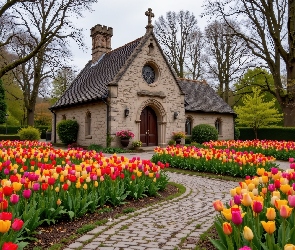 Kościół, Drzewa, Ścieżka, Tulipany, Wiosna