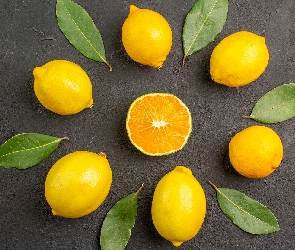 Liście, Tło, Ciemne, Koło, Cytryny