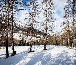 Zima, Góry, Śnieg, Drzewa