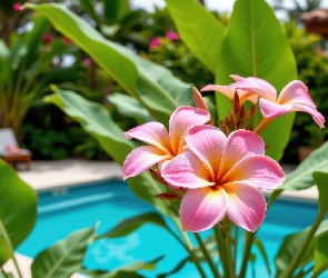 Grafika AI, Kwiaty, Różowa, Plumeria