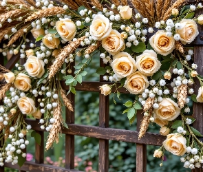 Róże, Pergola, Zboża, Kłosy, Kremowe
