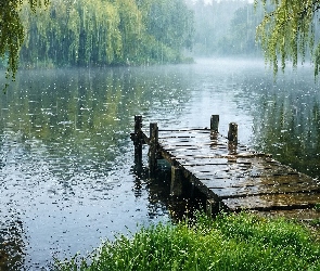 Deszcz, Rzeka, Pomost, Drzewa