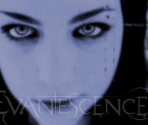 Amy Lee