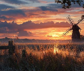 Trawy, Zachód słońca, Płot, Niebo, Grafika, Pola, AI, Wiatrak