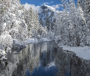 Kalifornia, Park Narodowy Yosemite, Drzewa, Stany Zjednoczone, Merced River, Zima, Rzeka