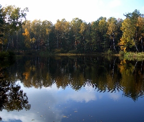 Jesień, Las, Jezioro