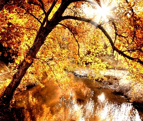 Złota, Rzeka, Jesień
