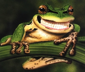 Żaba, Zęby, Uśmiech