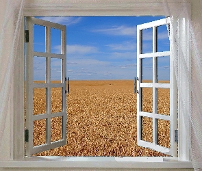 Okno, Przez, Widok, Pola