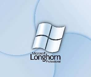 flaga, Longhorn, grafika
