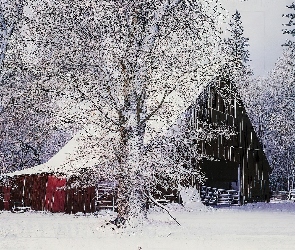 Zima, Szopa, Śnieg