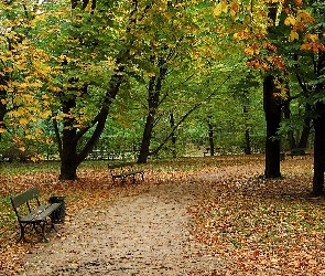 Jesień, Park