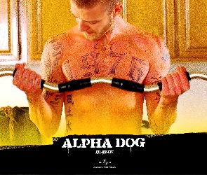 Alpha Dog, sztanga, Justin Timberlake