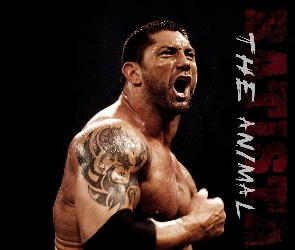 Batista, Wrestler, Aktor, Okrzyk, Dave Bautista