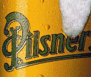 Piwo, Piana, Pilsner