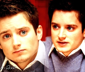 niebieskie oczy, bródka, Elijah Wood