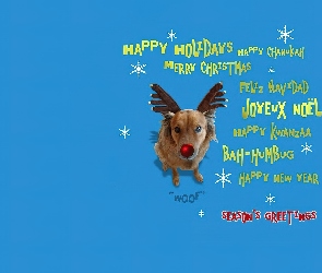 Pies, Boże Narodzenie
