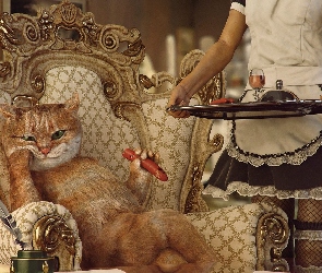 Luksus, Pokojówka, Kot