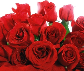 Czerwonych, Róż, Bukiet