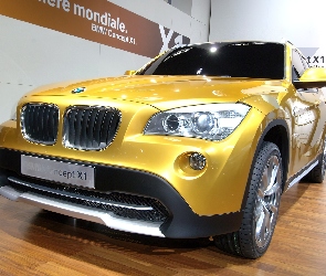 Car, Concept, BMW X1, Salon