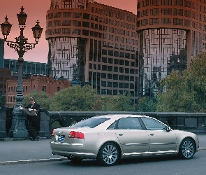 Audi A8, D3, Złote