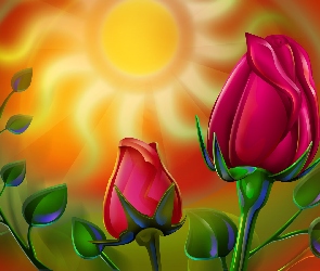 Słońce, Pąki, Róże