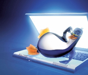 Laptop, Linux
