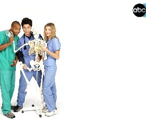 Serial, Scrubs, Hoży Doktorzy