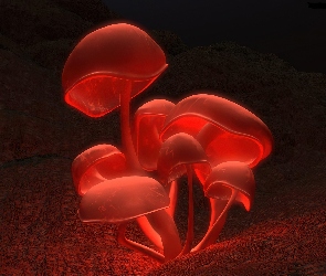 Grzyby, 3D