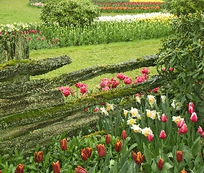 Ogród, Kwiaty, Płot