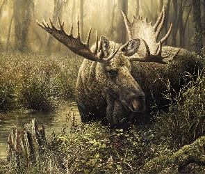 Woda, Trawa, Łoś, Las