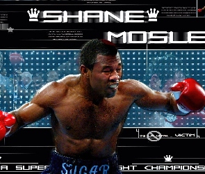 Shane Mosley, Boks