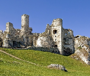 Zamku, Ogrodzieniec, Ruiny