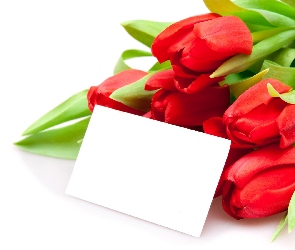 Liścik, Walentynki, Czerwone, Tulipany