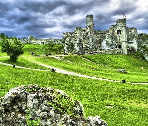 Zamek, Turyści, Dróżka