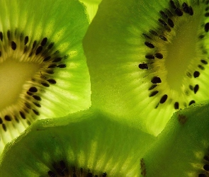 Kiwi, Plasterki