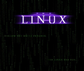 grafika, Linux