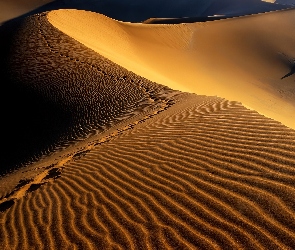 Ślady, Afryka, Pustynia, Namibia