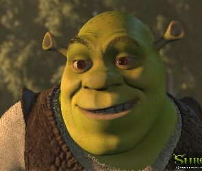 Shrek 1, ogr