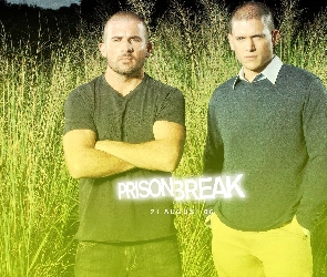 Skazany na śmierć, trawa, Dominic Purcell, Wentworth Miller, Prison Break