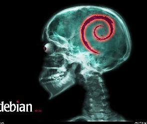 rentgen, grafika, ślimak, czaszka, muszla, Linux Debian, zawijas