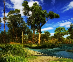 Zielony, Rzeka, Las