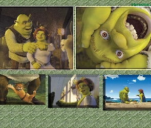 zdjęcia, Shrek 2