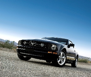 Ford Mustang V6, Package, Pony